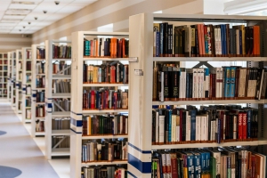 Wakacje z Biblioteką w Kielanówce