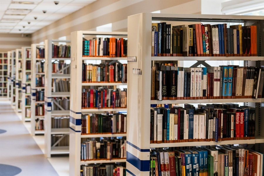 Wakacje z Biblioteką w Kielanówce